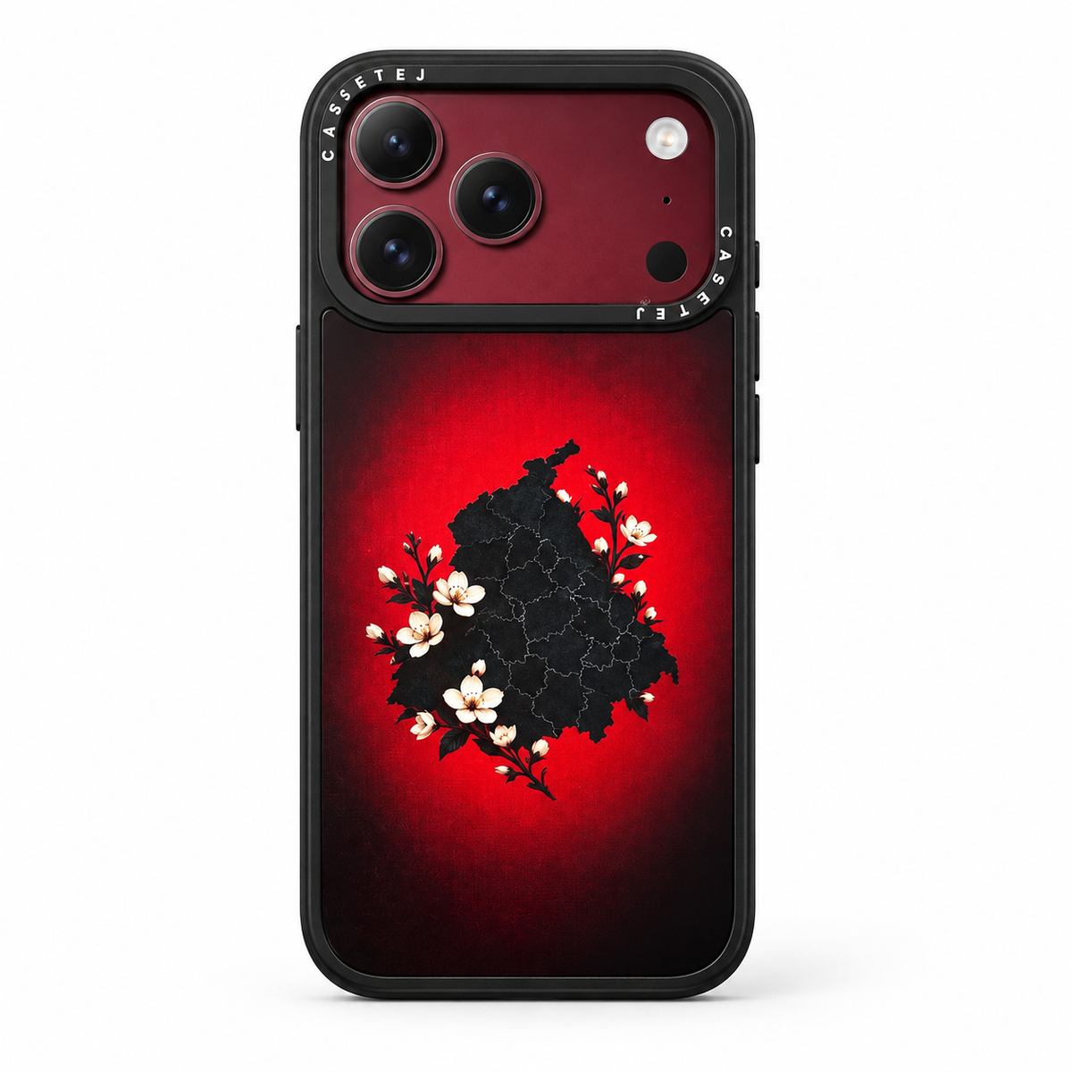 Represent by CASETEJ. Punjab MAP Phone cover
